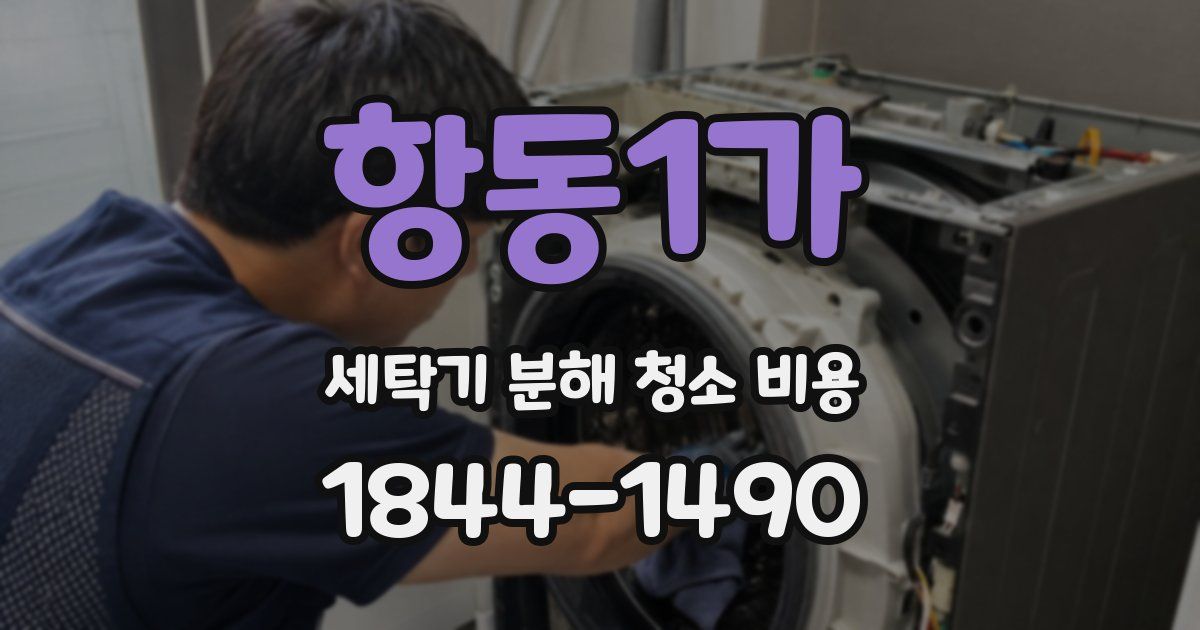 항동1가 세탁기 분해 청소 비용