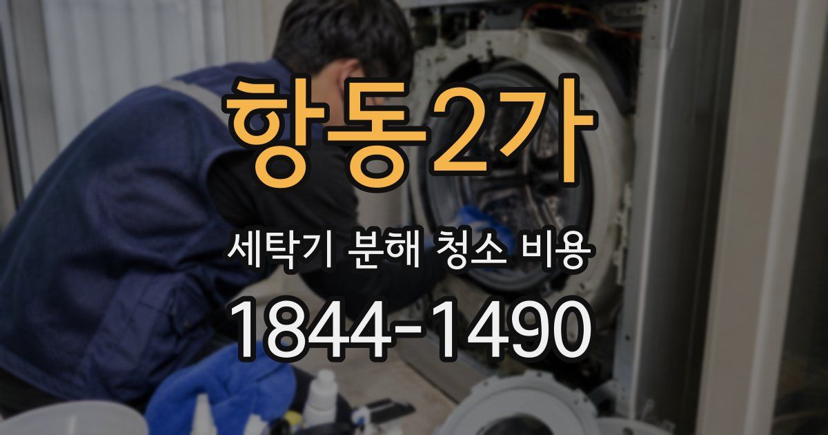항동2가 세탁기 분해 청소 비용