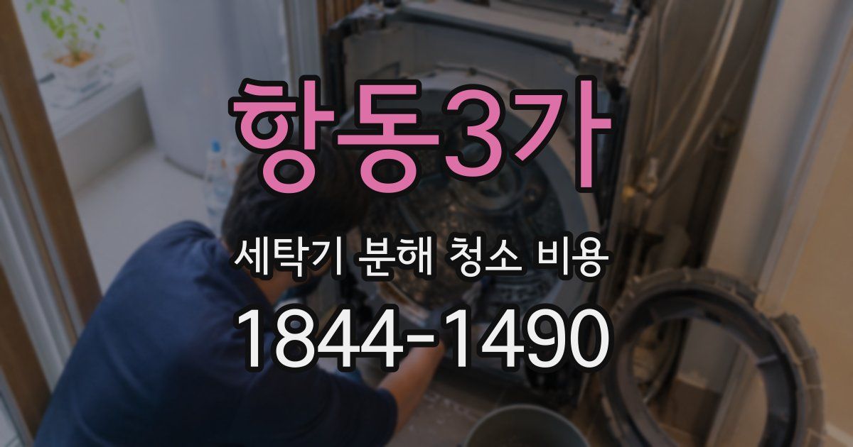 항동3가 세탁기 분해 청소 비용