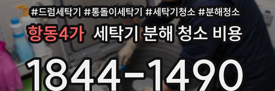 항동4가 세탁기 분해 청소 비용