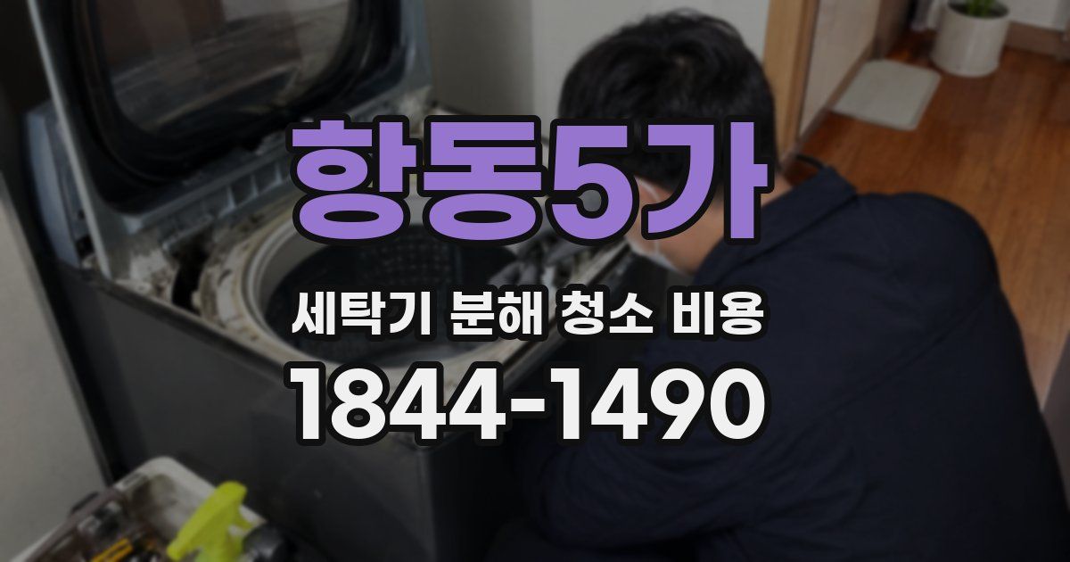 항동5가 세탁기 분해 청소 비용