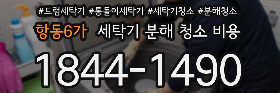 항동6가 세탁기 분해 청소 비용