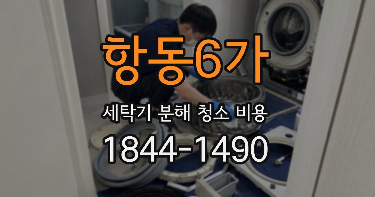 항동6가 세탁기 분해 청소 비용