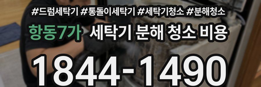 항동7가 세탁기 분해 청소 비용