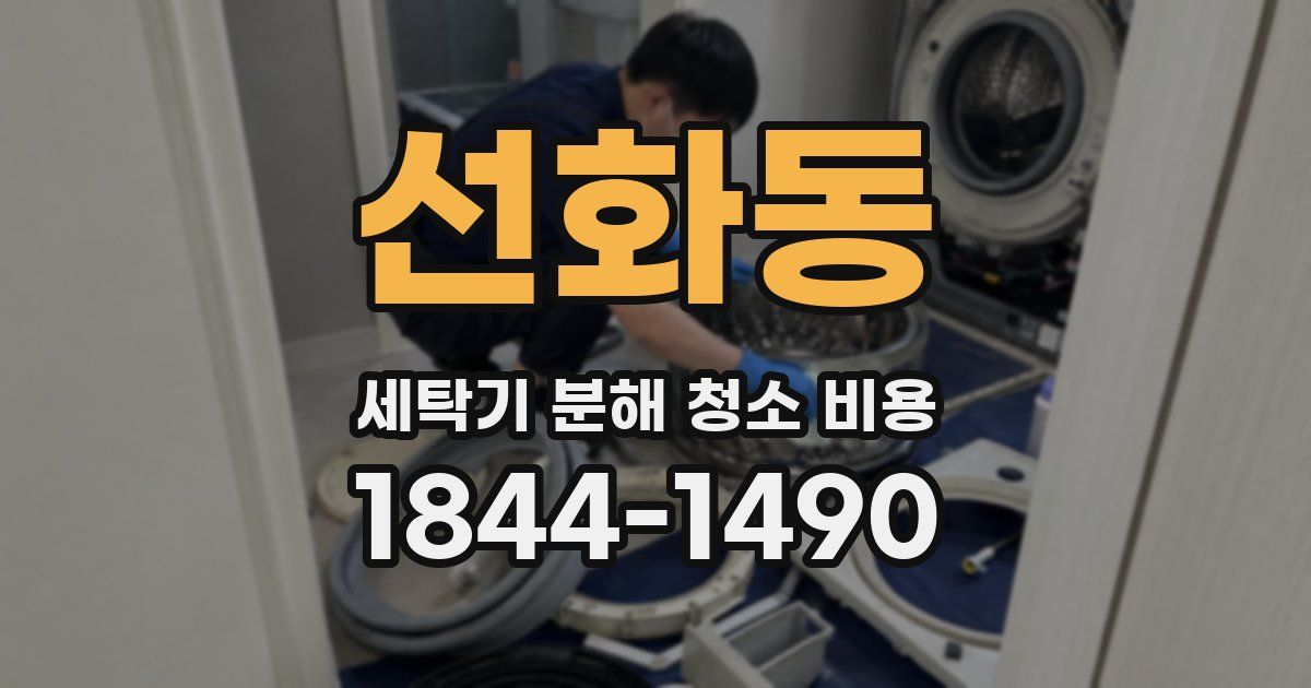 선화동 세탁기 분해 청소 비용