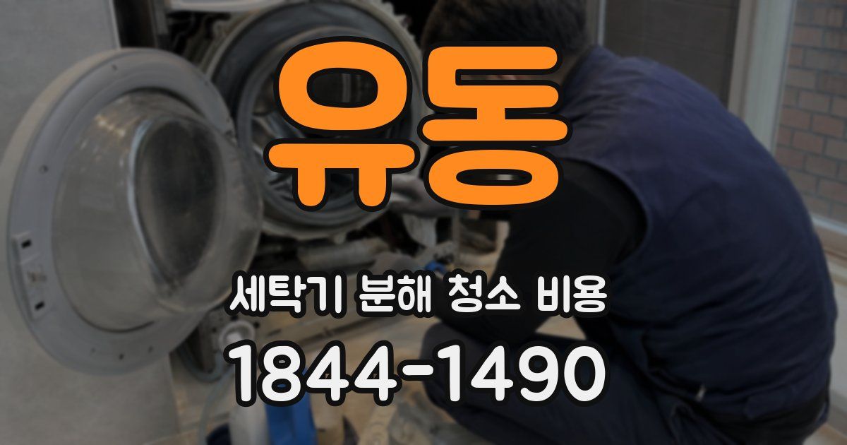 유동 세탁기 분해 청소 비용