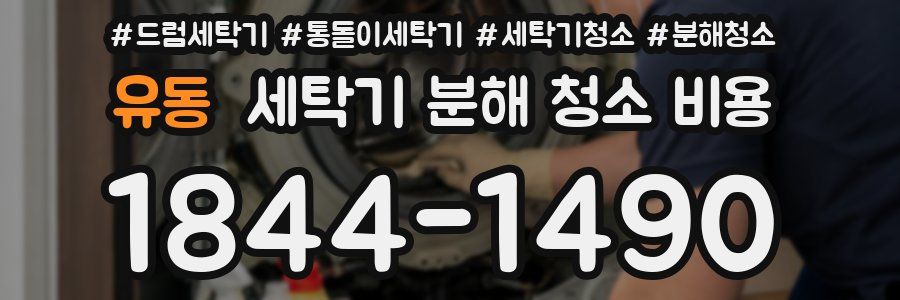 유동 세탁기 분해 청소 비용