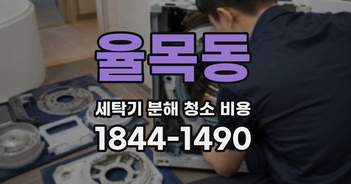 율목동 세탁기 분해 청소 비용
