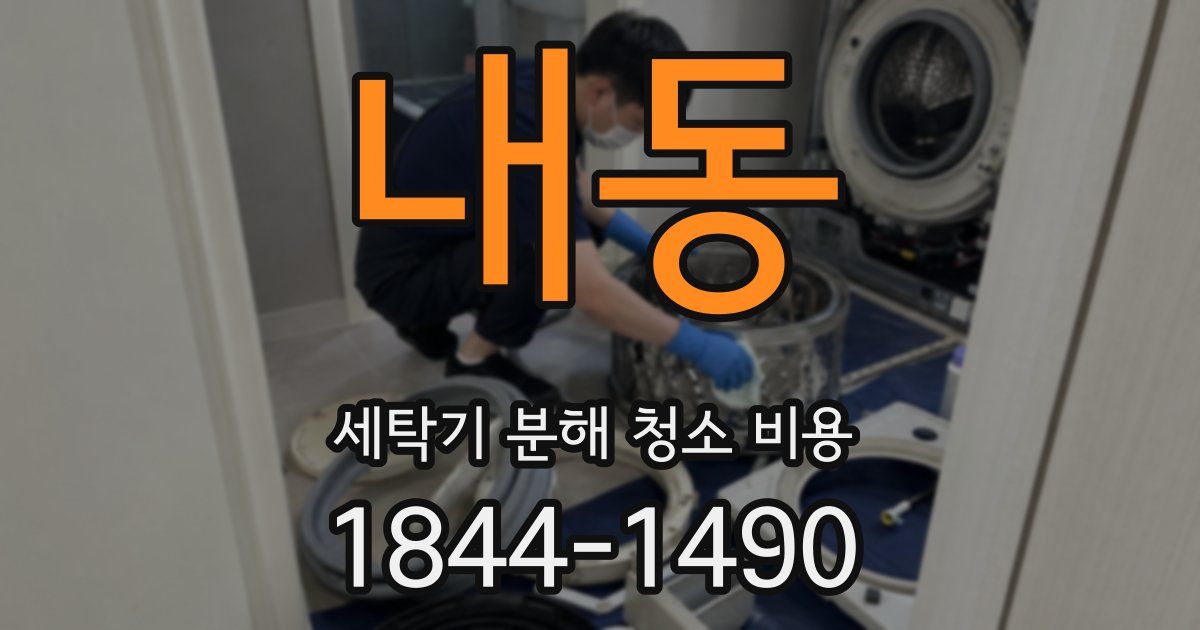 내동 세탁기 분해 청소 비용
