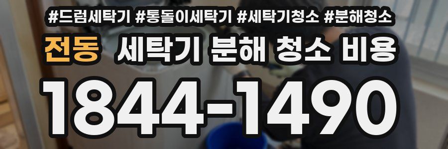 전동 세탁기 분해 청소 비용