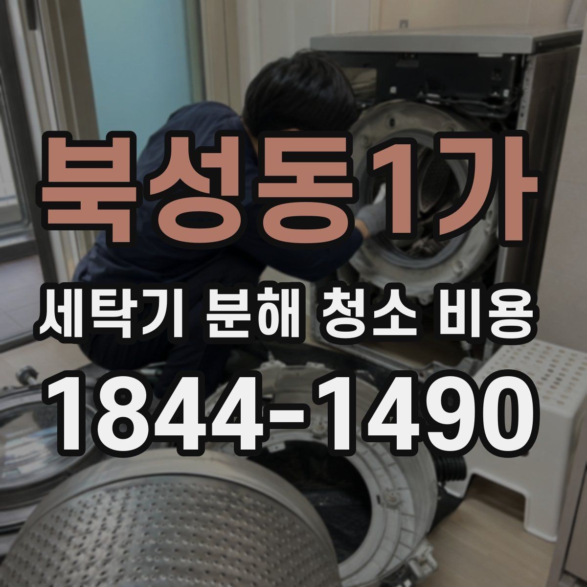 북성동1가 세탁기 분해 청소 비용 애완동물 털 많은 집에서 더 신경 쓸 부분