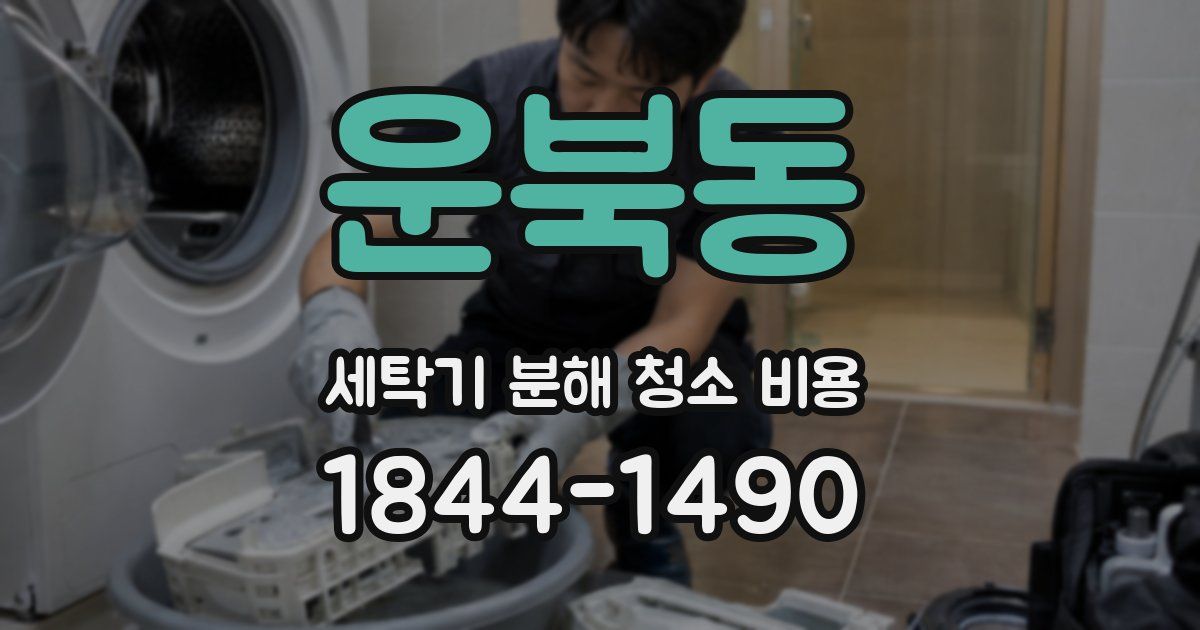 운북동 세탁기 분해 청소 비용