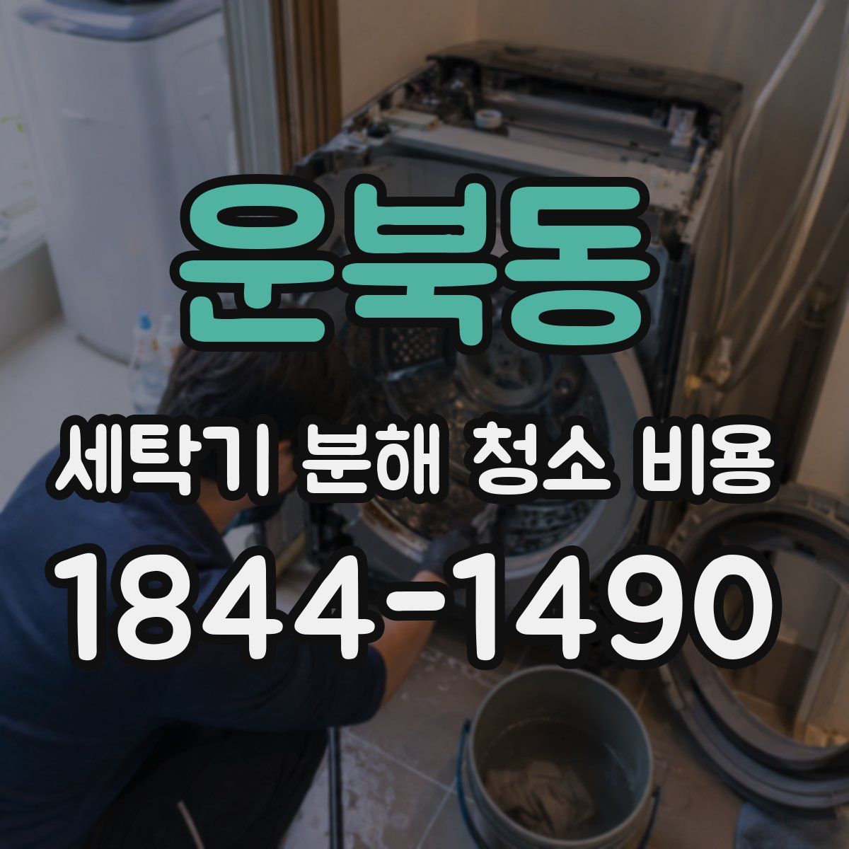운북동 세탁기 분해 청소 비용
