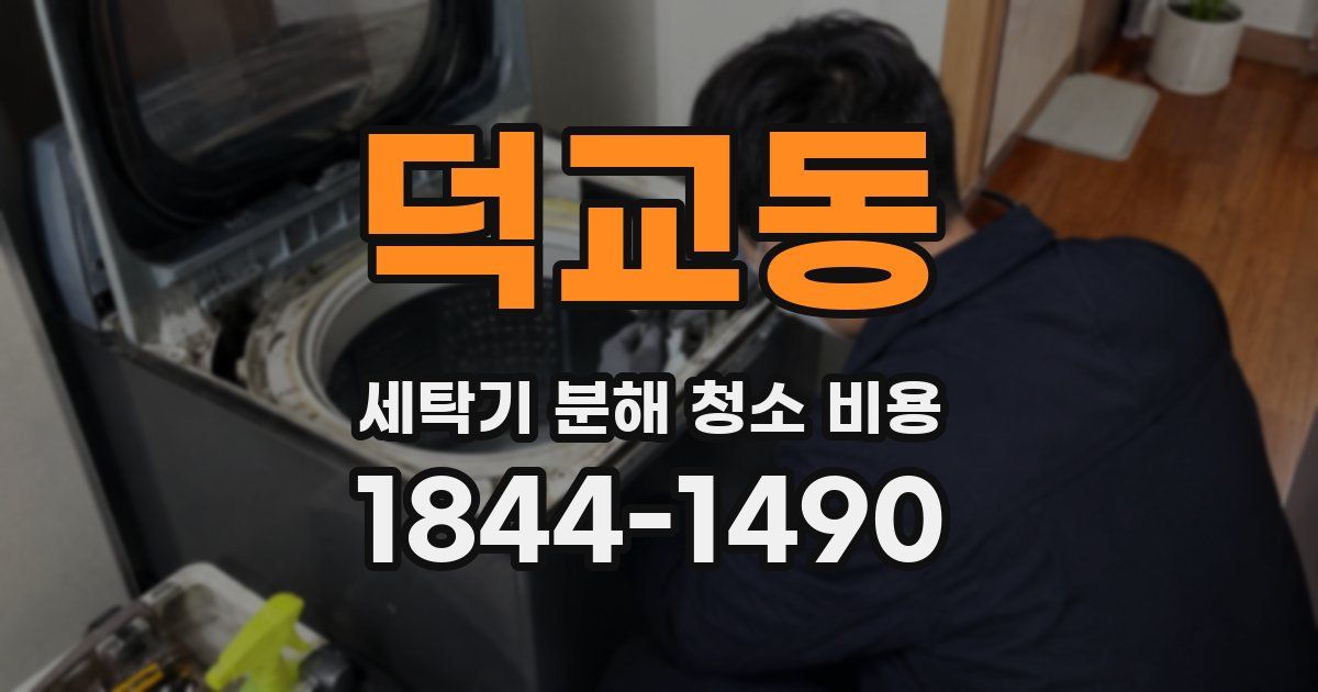덕교동 세탁기 분해 청소 비용