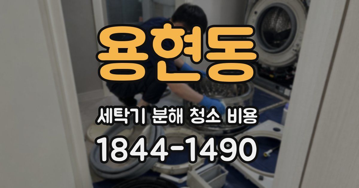 용현동 세탁기 분해 청소 비용