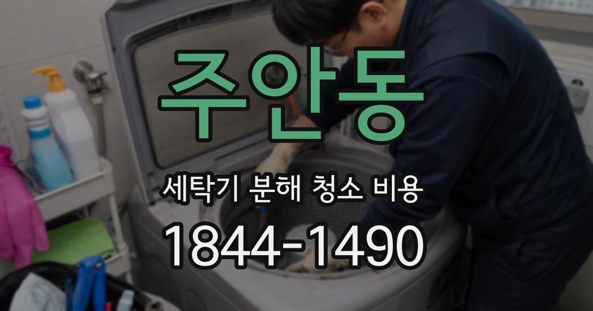 주안동 세탁기 분해 청소 비용