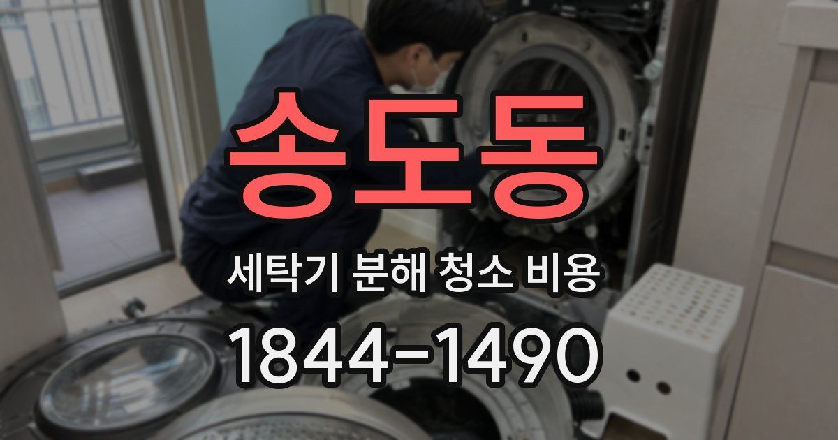 송도동 세탁기 분해 청소 비용