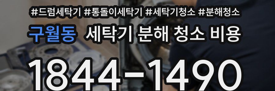 구월동 세탁기 분해 청소 비용