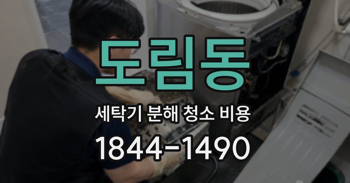 도림동 세탁기 분해 청소 비용