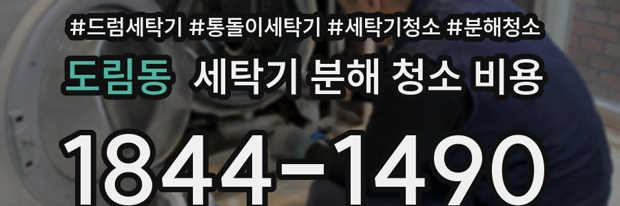 도림동 세탁기 분해 청소 비용