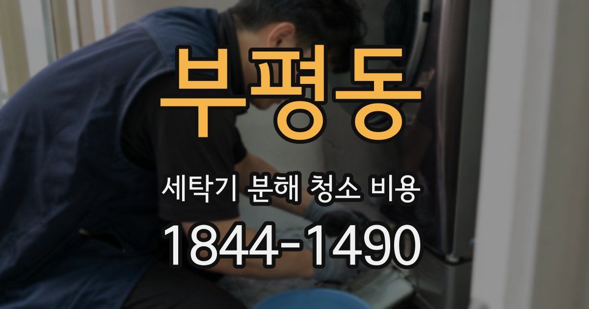 부평동 세탁기 분해 청소 비용