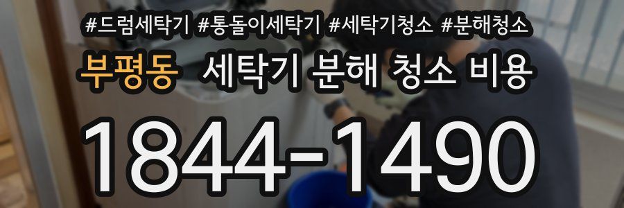 부평동 세탁기 분해 청소 비용