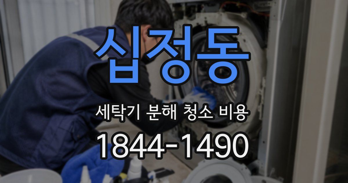 십정동 세탁기 분해 청소 비용