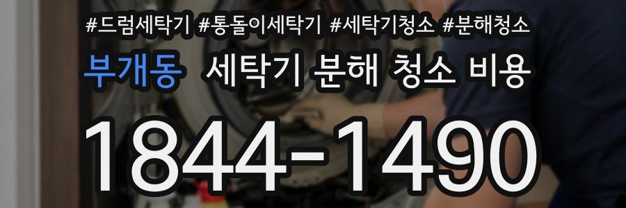 부개동 세탁기 분해 청소 비용