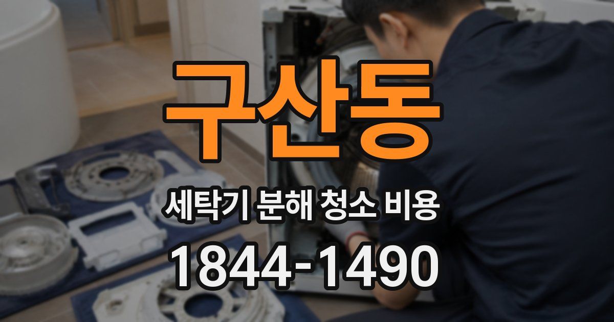 구산동 세탁기 분해 청소 비용