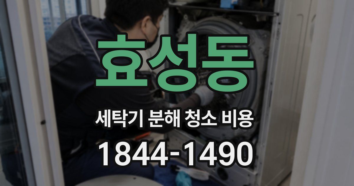 효성동 세탁기 분해 청소 비용