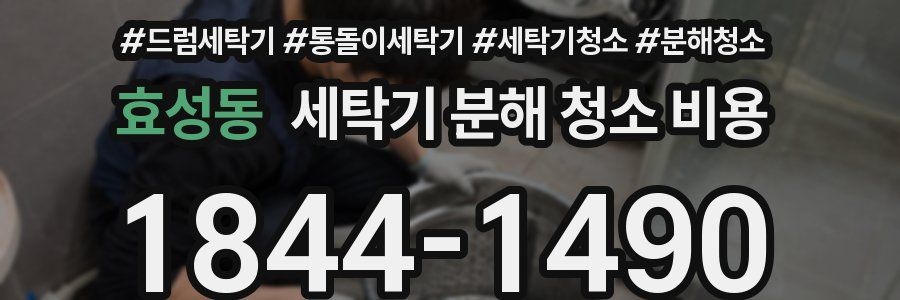 효성동 세탁기 분해 청소 비용