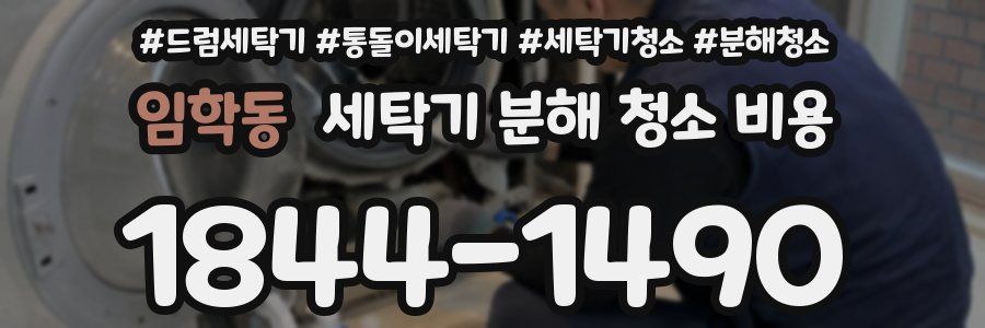 임학동 세탁기 분해 청소 비용