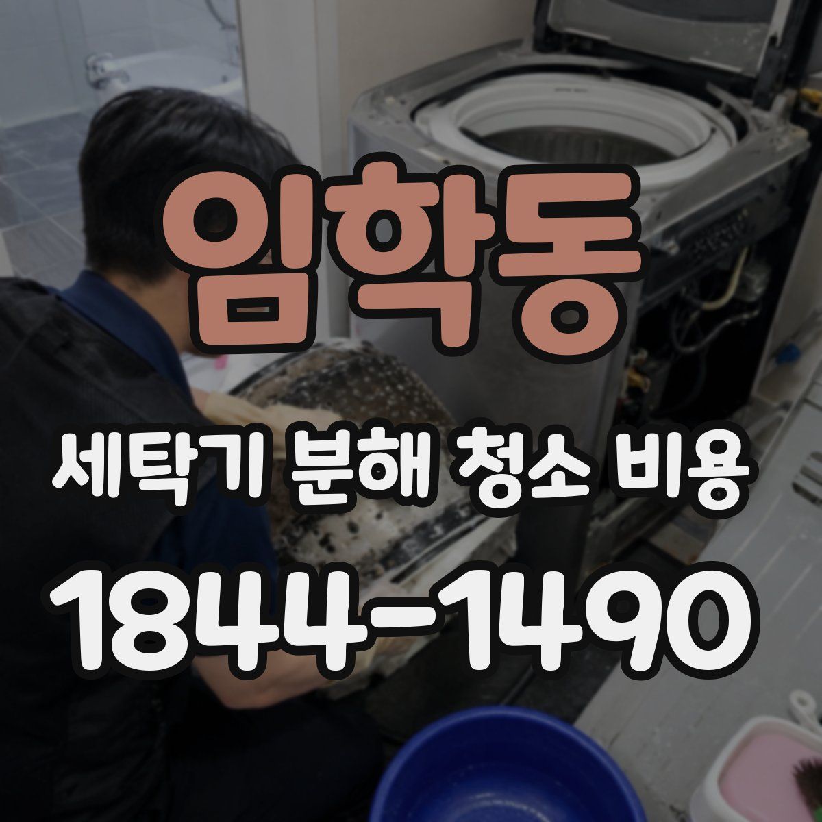 임학동 세탁기 분해 청소 비용