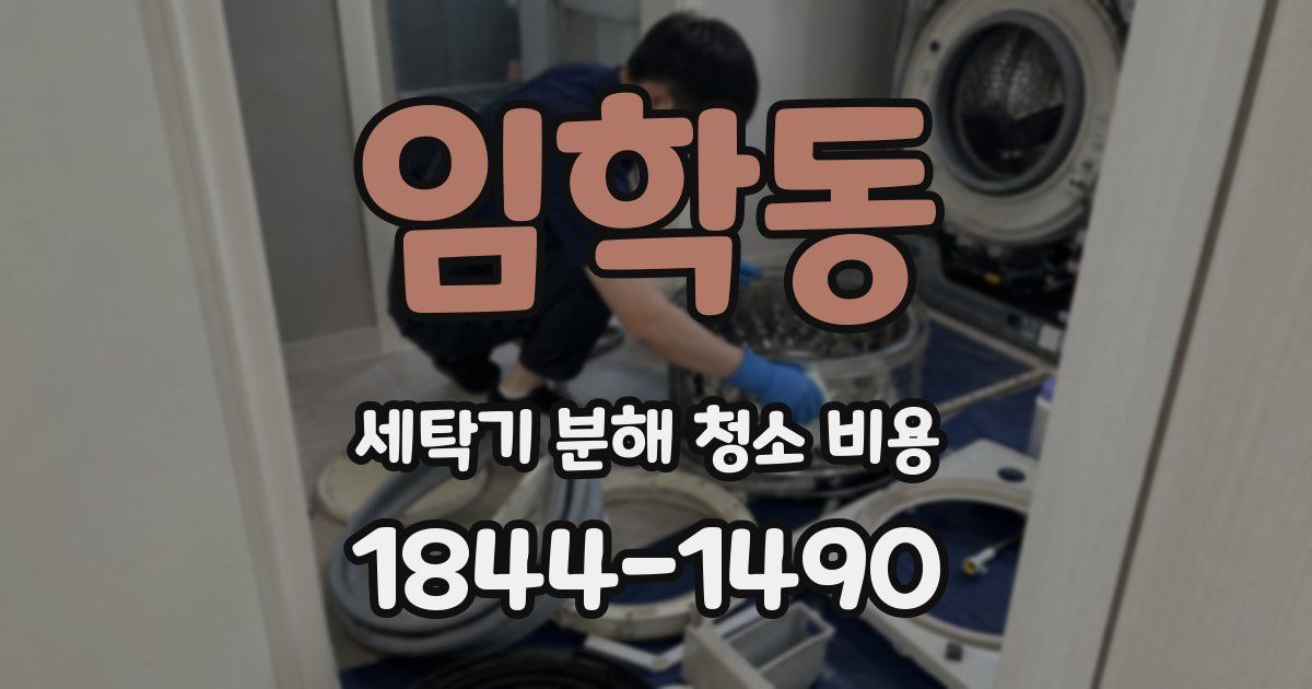 임학동 세탁기 분해 청소 비용