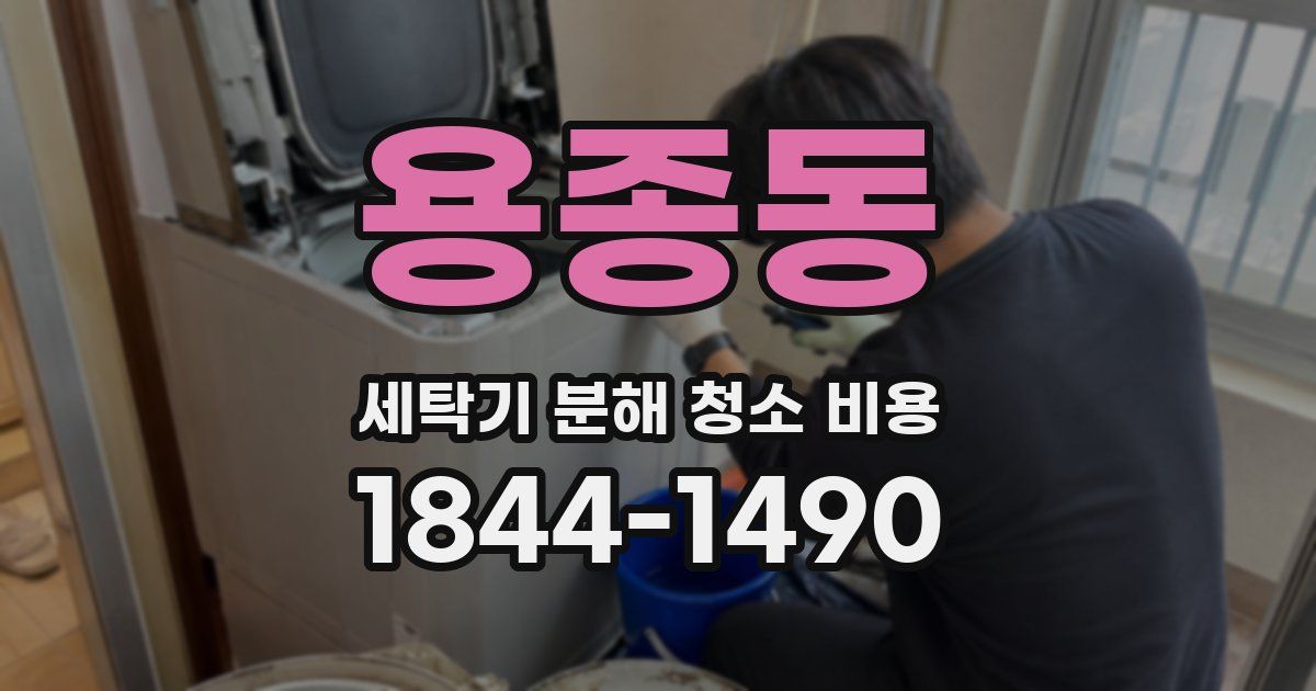 용종동 세탁기 분해 청소 비용