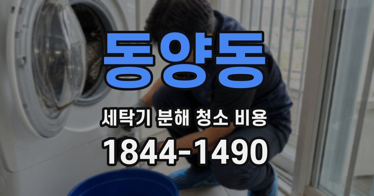 동양동 세탁기 분해 청소 비용
