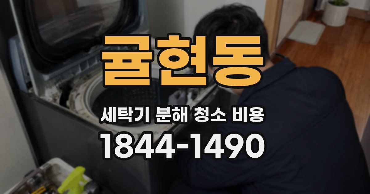 귤현동 세탁기 분해 청소 비용