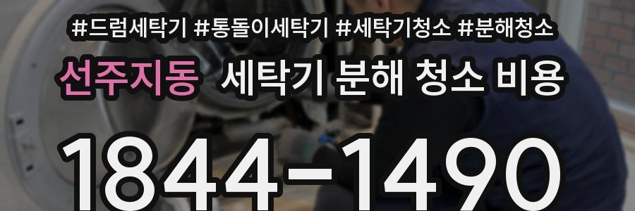 선주지동 세탁기 분해 청소 비용