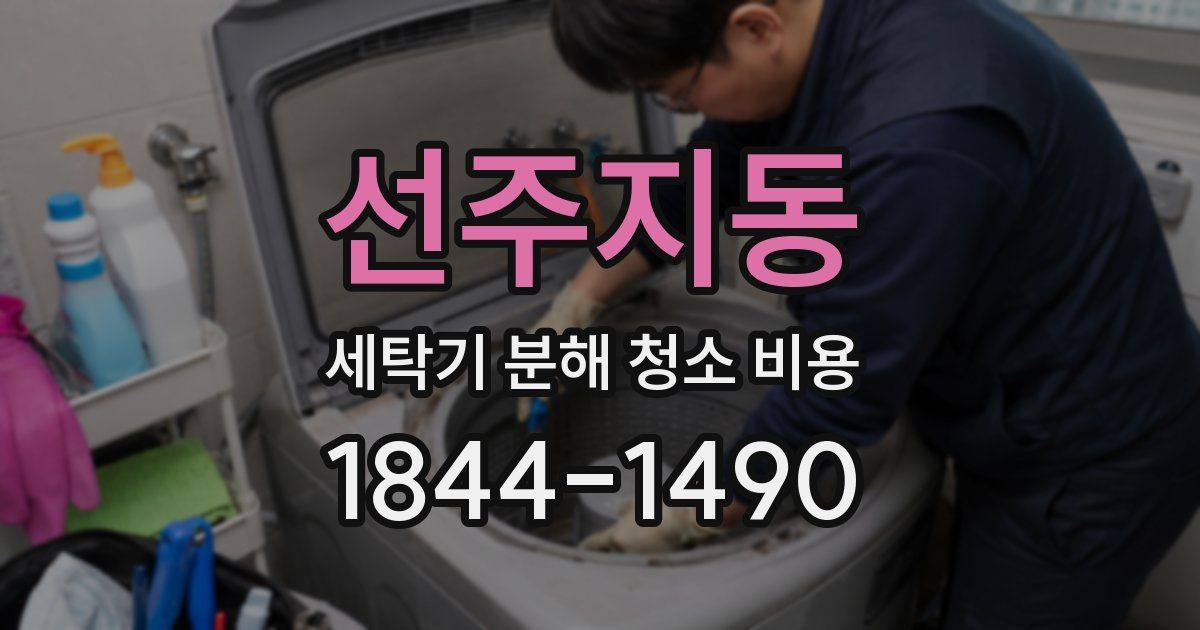 선주지동 세탁기 분해 청소 비용