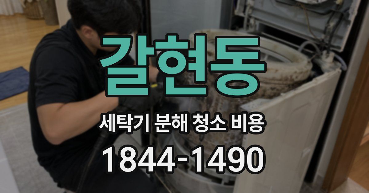 갈현동 세탁기 분해 청소 비용