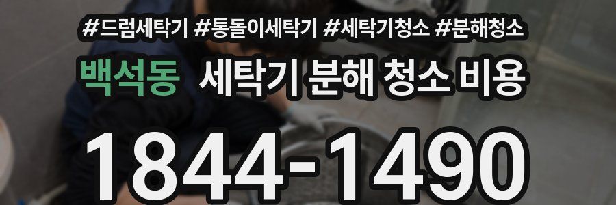 백석동 세탁기 분해 청소 비용