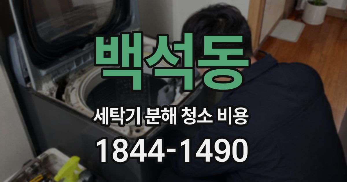 백석동 세탁기 분해 청소 비용