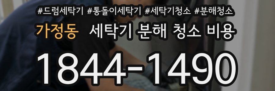 가정동 세탁기 분해 청소 비용