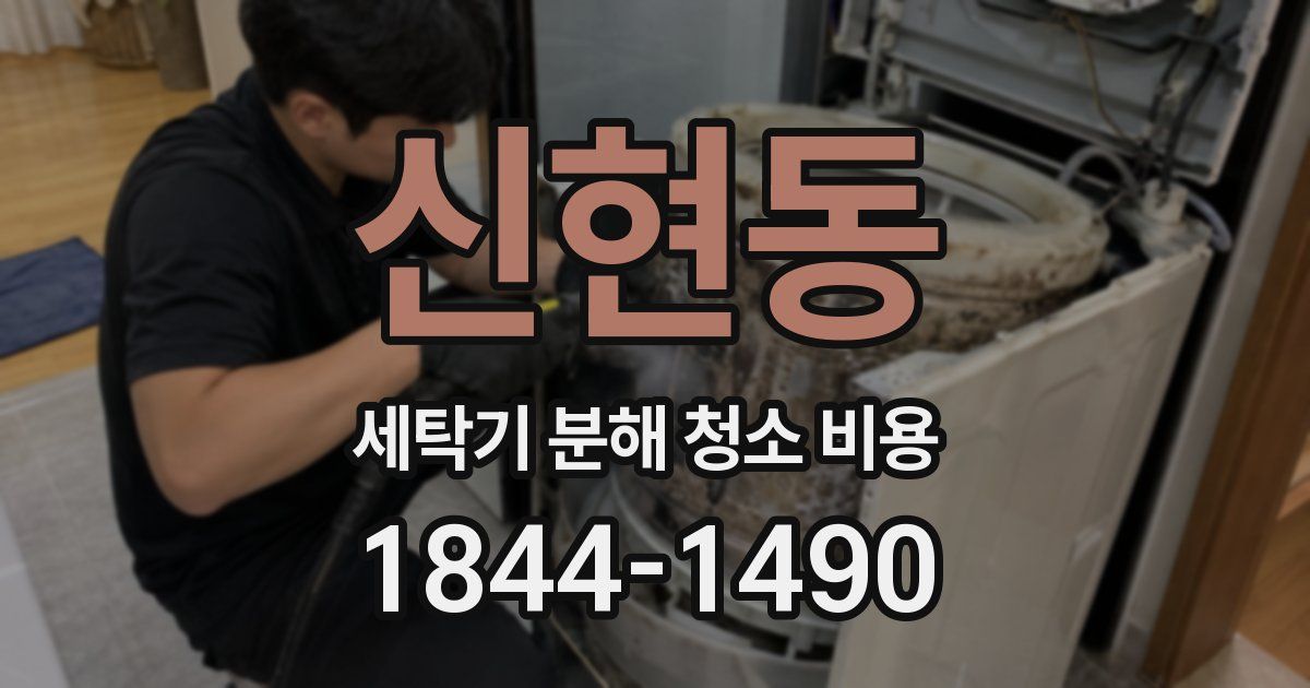 신현동 세탁기 분해 청소 비용