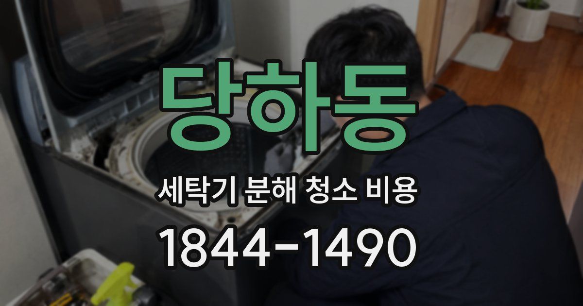 당하동 세탁기 분해 청소 비용