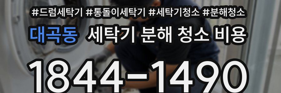 대곡동 세탁기 분해 청소 비용