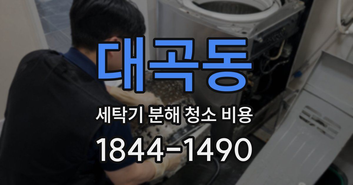대곡동 세탁기 분해 청소 비용