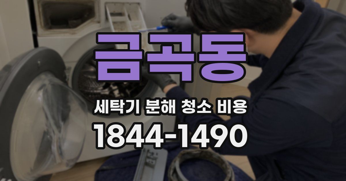 금곡동 세탁기 분해 청소 비용