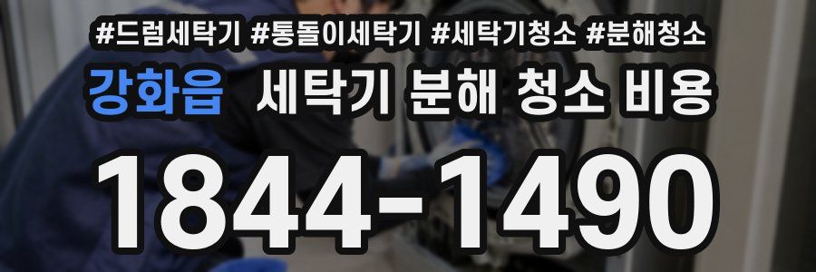 강화읍 세탁기 분해 청소 비용