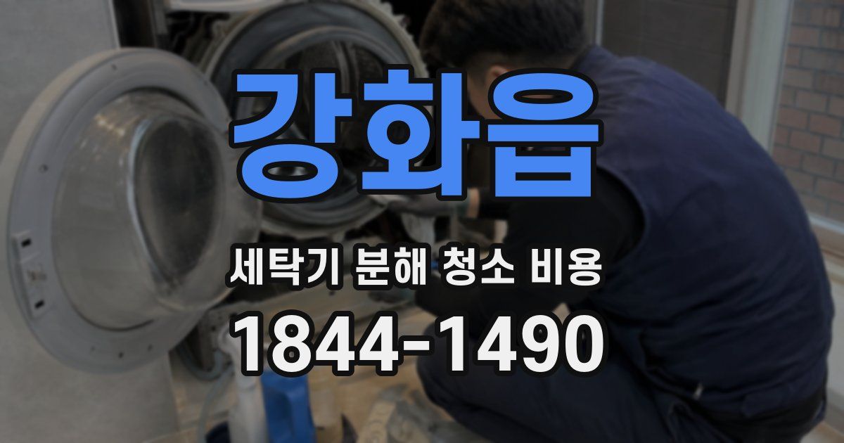 강화읍 세탁기 분해 청소 비용